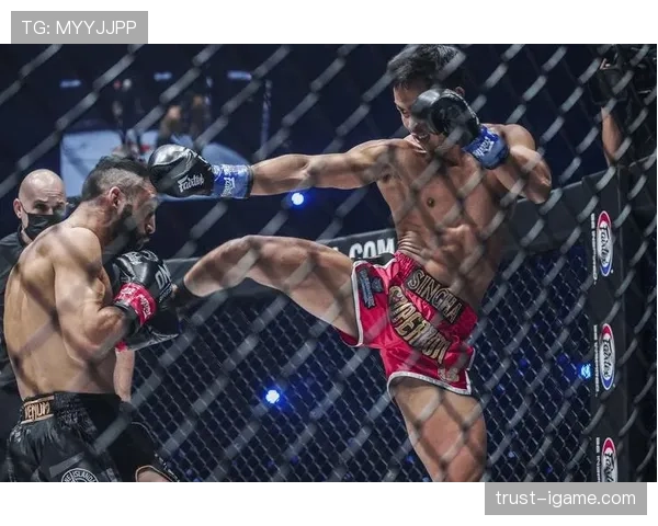 约翰逊太阳冠军成员引发热议，新赛季展望备受期待