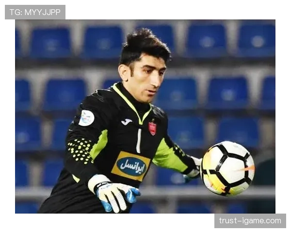 阿利松世界杯精彩回顾：稳健守护铸就传奇，门神表现引关注