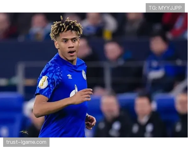 热那亚转会策略聚焦实用引援,近期操作体现务实建队思路 热那亚转会策略聚焦实用引援,近期操作体现务实建队思路