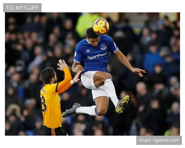 英超埃弗顿伤病潮 英超埃弗顿伤病潮